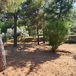 Vanna Bilo A - Bilocale Appartement Capoliveri (Isola d'Elba)